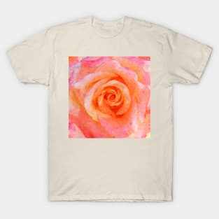 Soft Pink Rose Shabby-chic Flower Watercolor T-Shirt